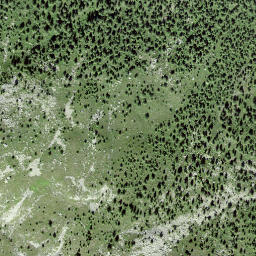 Satellite imagery of Pizzet, CH