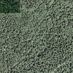 Satellite imagery of 164, FR