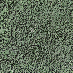 Satellite imagery of 159, CH