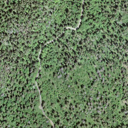 Satellite imagery of Le Risel, CH