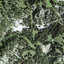 Satellite imagery of Puntelgabel, CH