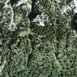 Satellite imagery of Puntelgabel, CH