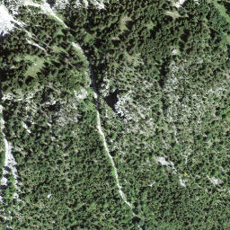 Satellite imagery of Puntelgabel, CH