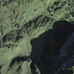 Satellite imagery of Witliflue, CH