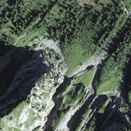 Satellite imagery of Witliflue, CH