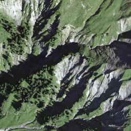 Satellite imagery of Rengghorn, CH