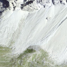 Satellite imagery of Piz Mitgel, CH