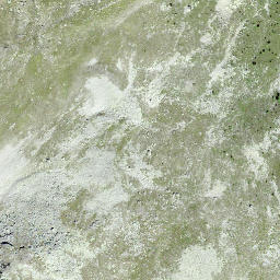 Satellite imagery of Pizzet, CH