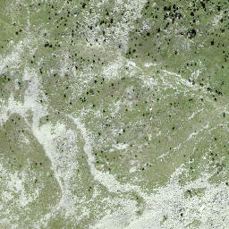 Satellite imagery of Pizzet, CH