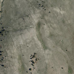 Satellite imagery of Silver Coin Mine, US