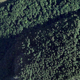 Satellite imagery of Vanil de la Monse, CH