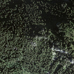 Satellite imagery of Pfaffebüel, CH