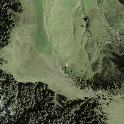 Satellite imagery of Pfaffebüel, CH