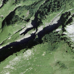 Satellite imagery of Witliflue, CH