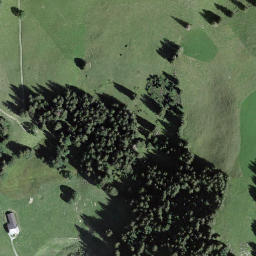 Satellite imagery of Hornguger, CH