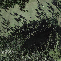 Satellite imagery of Hornguger, CH