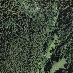 Satellite imagery of Pfaffebüel, CH