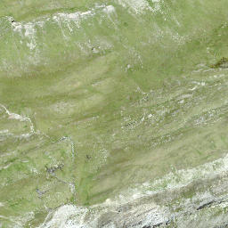 Satellite imagery of Schwarzhorn, CH