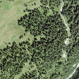 Satellite imagery of Munt da las Auntas, CH