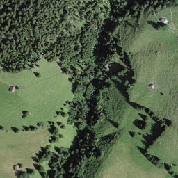 Satellite imagery of Pfaffebüel, CH