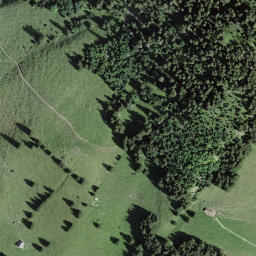 Satellite imagery of Pfaffebüel, CH