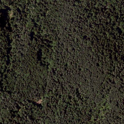 Satellite imagery of Goritschnigkogel, AT
