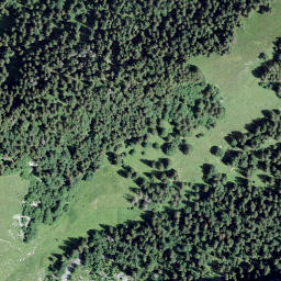 Satellite imagery of Gros Haut Crêt, CH