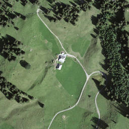 Satellite imagery of Hornguger, CH