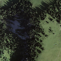 Satellite imagery of Meniggrat, CH