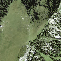 Satellite imagery of Meniggrat, CH