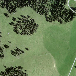 Satellite imagery of Homad, CH