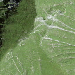 Satellite imagery of Mäggisserehore, CH