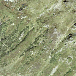 Satellite imagery of Guspisegg, CH