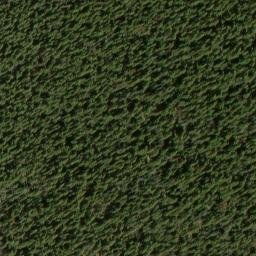 Satellite imagery of Pinegrass Ridge, US