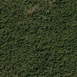 Satellite imagery of Pinegrass Ridge, US