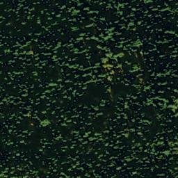 Satellite imagery of Buck Ridge, US