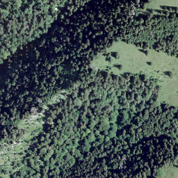 Satellite imagery of Petit Haut Crêt, CH