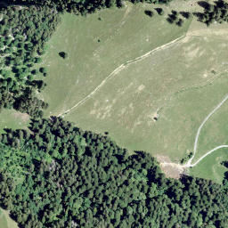 Satellite imagery of Gros Haut Crêt, CH