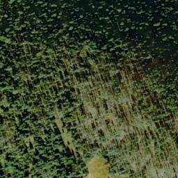 Satellite imagery of Buck Ridge, US