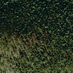 Satellite imagery of Buck Ridge, US