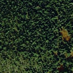 Satellite imagery of Buck Ridge, US