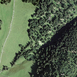 Satellite imagery of Höri, CH