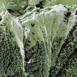 Satellite imagery of Höchst, CH