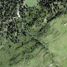 Satellite imagery of Chrüzgütsch, CH