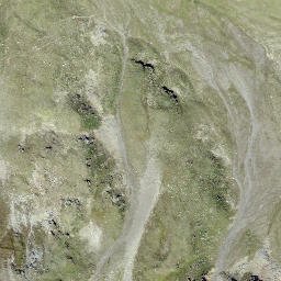 Satellite imagery of Spi da Minschuns, CH