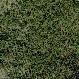Satellite imagery of Buck Ridge, US