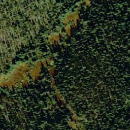 Satellite imagery of Buck Ridge, US