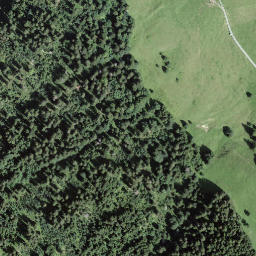 Satellite imagery of Hore am Rüederigs, CH