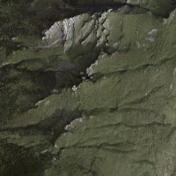Satellite imagery of Schlafbiel, CH