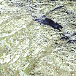 Satellite imagery of Winterhorn, CH